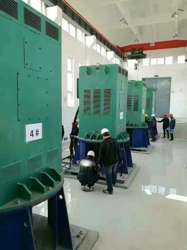 YKK5004-10某污水处理厂使用我厂的立式高压电机安装现场