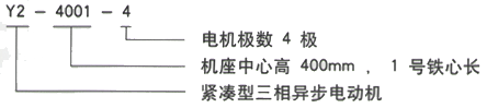 YR系列(H355-1000)高压YKK5004-10三相异步电机西安西玛电机型号说明